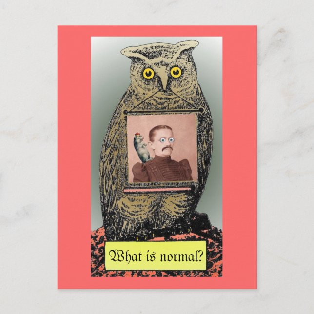 Cartão Postal "What is  normal?" Postcard (Frente)