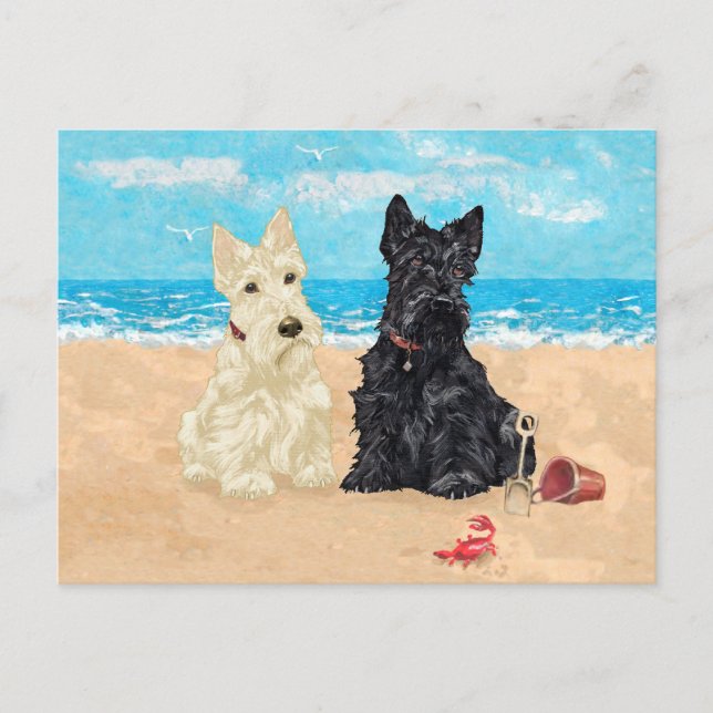 Cartão Postal Whaten & Black Scotties na Praia (Frente)