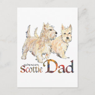 Cartão Postal Wheaten Scotties Celebram o Dia dos Pais