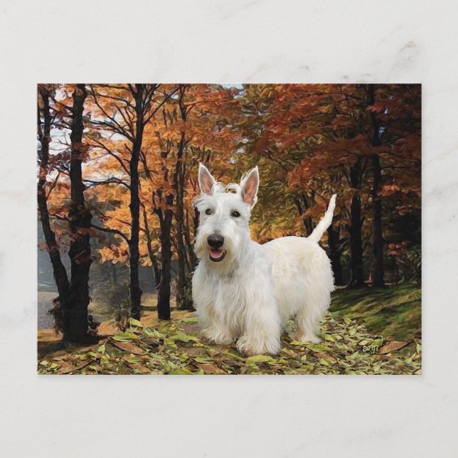 Cartão Postal Wheaten Scottish Terrier Autumn (Frente)