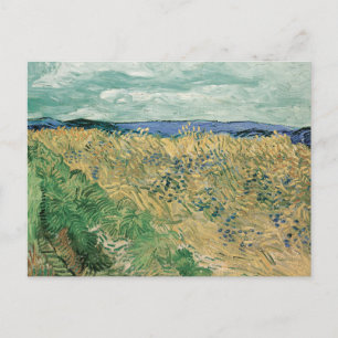 Cartão Postal Wheatfield com Cornflower   Vincent van Gogh