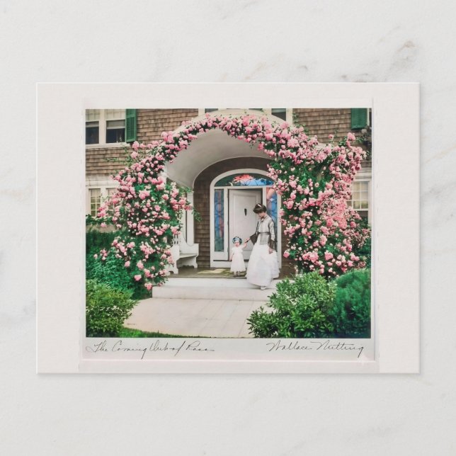 Cartão Postal Where flowers bloom so does hope.  (Frente)