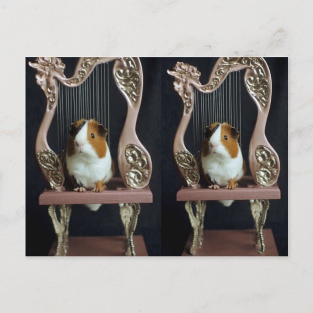 Cartão Postal Whimsical Guinea Pig Harp Postcard – Elegant Story (Frente)