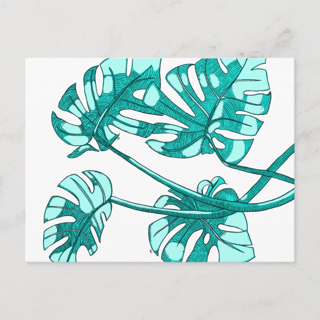 Cartão Postal Whimsical, monstera leaf design (Frente)