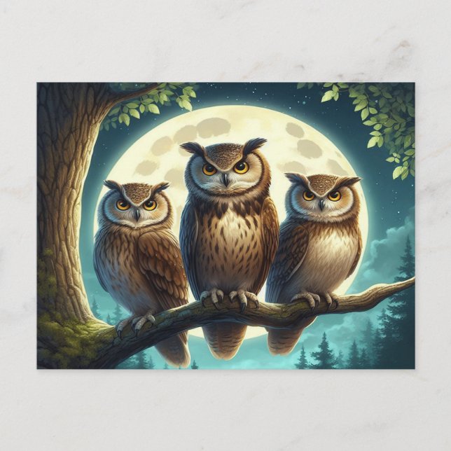 Cartão Postal Whimsical Owl Trio (Frente)