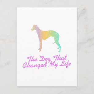 Cartão Postal Whippet