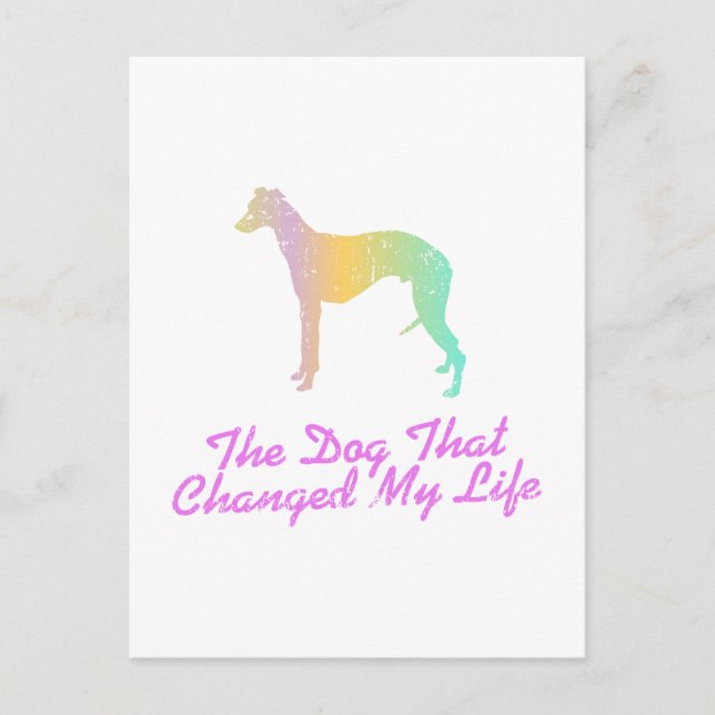 Cartão Postal Whippet (Frente)