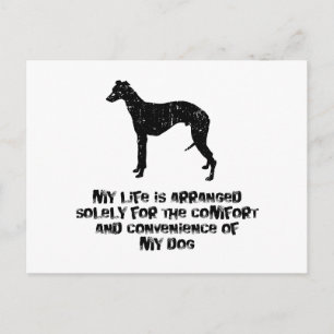 Cartão Postal Whippet