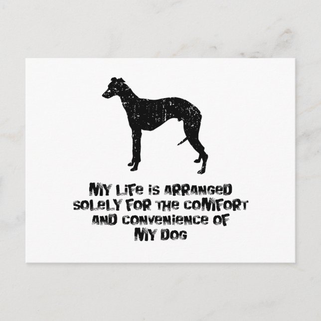 Cartão Postal Whippet (Frente)