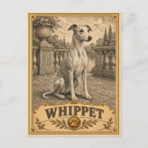 Whippet, Cachorro de Herança Vintage