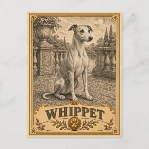 Cartão Postal Whippet, Cachorro de Herança Vintage