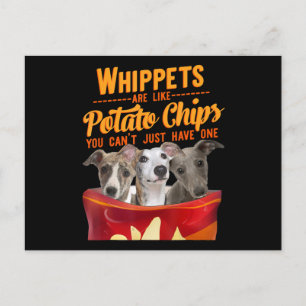 Cartão Postal Whippet E Batatas Fritas Cachorro Engraçado Mamãe