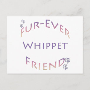 Cartão Postal Whippet Fuever Amigo