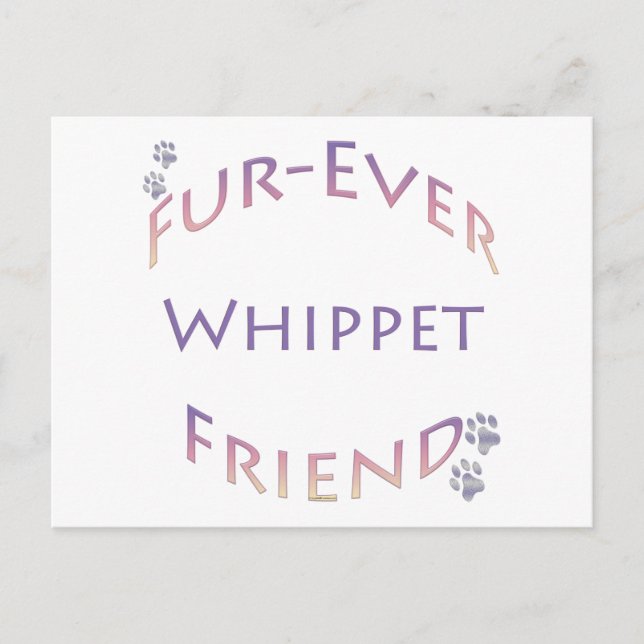 Cartão Postal Whippet Fuever Amigo (Frente)