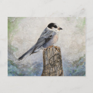 Cartão Postal Whiskey Jack