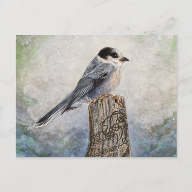 Cartão Postal Whiskey Jack (Frente)