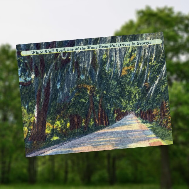 Cartão Postal White Bluff Rd Belo Dr Savannah GA Histórico (Criador carregado)