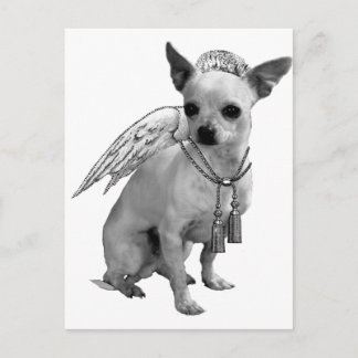 Cartão Postal White Chihuahua Angel Wings