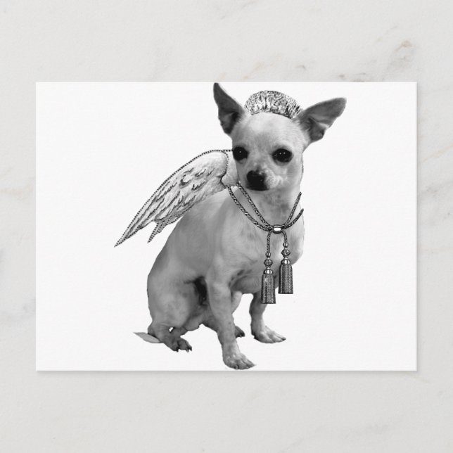 Cartão Postal White Chihuahua Angel Wings (Frente)