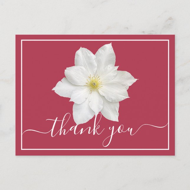 Cartão Postal White Clematis Flower Crimson Background Obrigado (Frente)