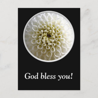 Cartão Postal White Dahlia Close-up