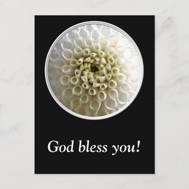 Cartão Postal White Dahlia Close-up (Frente)