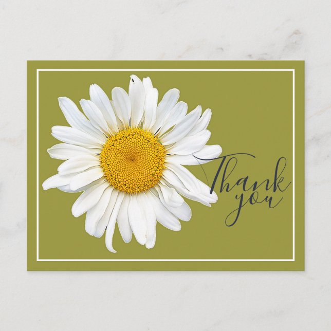 Cartão Postal White Daisy Yellow Center Green Backdrop Obrigado (Frente)