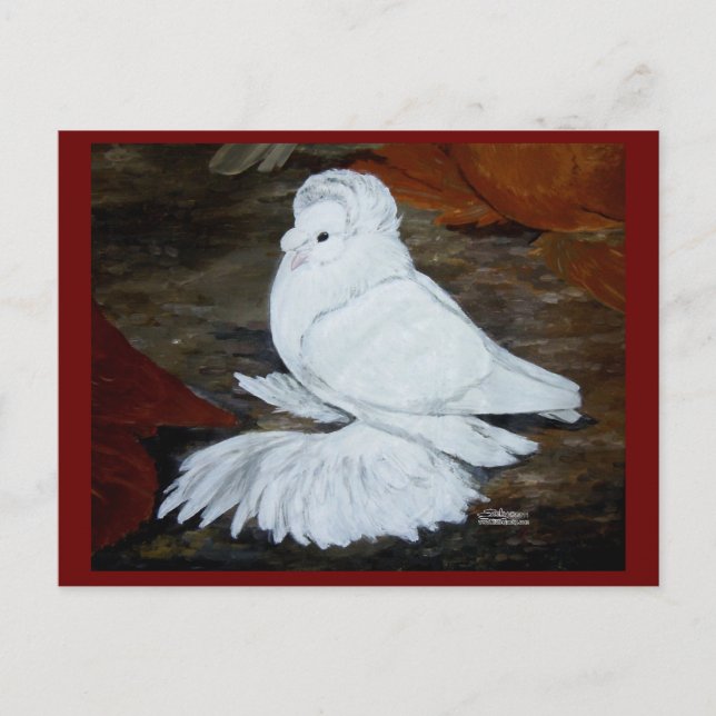 Cartão Postal White English Trumpeter (Frente)