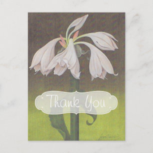 Cartão Postal White Floral Obrigado