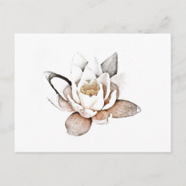 CARTÃO POSTAL WHITE LOTUS