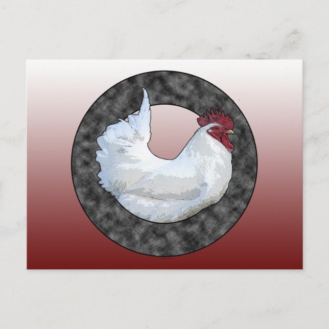 Cartão Postal White Rooster (Frente)