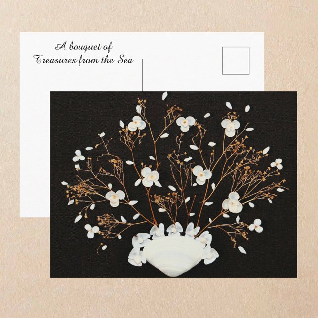 Cartão Postal White Seashell Bouquet Dramatic Black (Criador carregado)