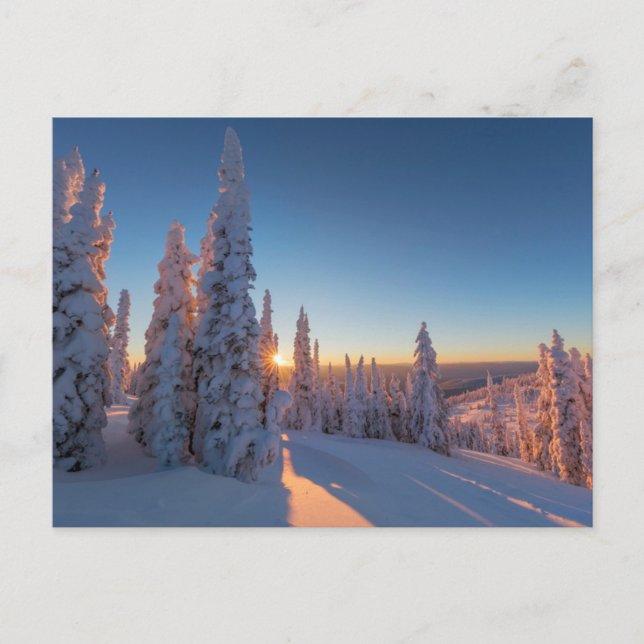 Cartão Postal Whitefish, Montana (Frente)