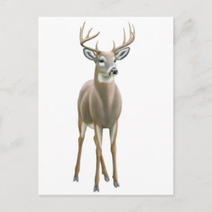 Cartão postal Whitetail Buck