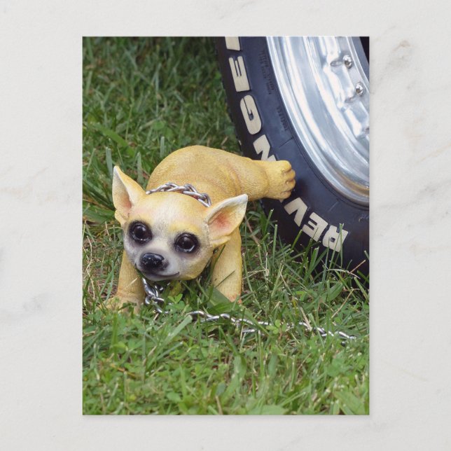 Cartão Postal Whiz Kid (Frente)