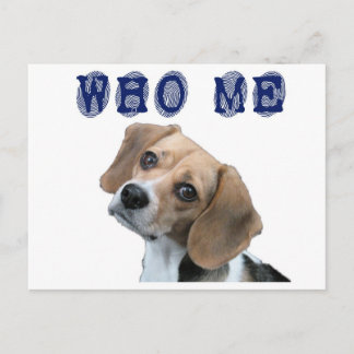 Cartão Postal Who Me dog fingerprint
