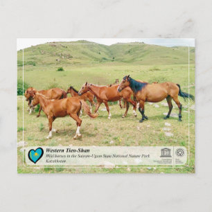 Cartão Postal WHS da UNESCO - Tien-Shan Ocidental - Sairam-Ugam