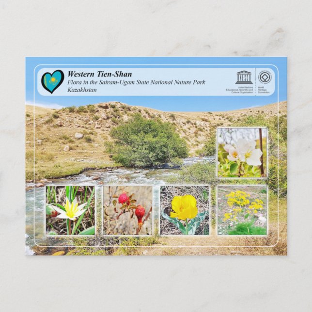 Cartão Postal WHS da UNESCO - Tien-Shan Ocidental - Sairam-Ugam (Frente)