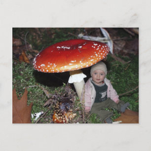 Cartão Postal Wichtel - Zwerg contra dem Fliegenpilz