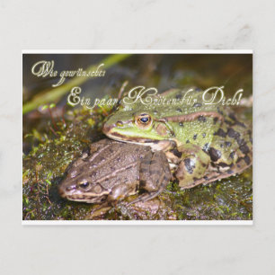 Cartão Postal Wie gewünscht: Ein paar Kröten für Dich!
