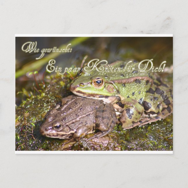 Cartão Postal Wie gewünscht: Ein paar Kröten für Dich! (Frente)