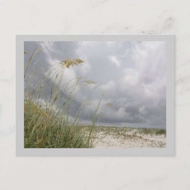 Cartão Postal WIld Blue Yonder (Frente)