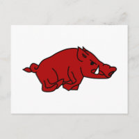 Wild Boar
