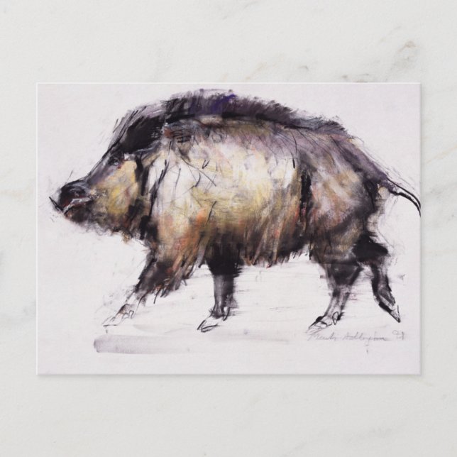 Cartão Postal Wild Boar 1999 (Frente)