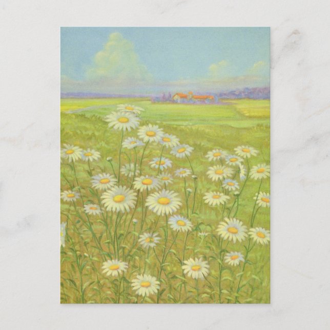 Cartão Postal Wild Daisy da Cargill, 1937 (Frente)