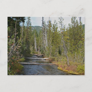 Cartão Postal Wild Deschutes River, Oregon