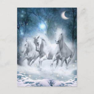 Cartão Postal Wild Flurry