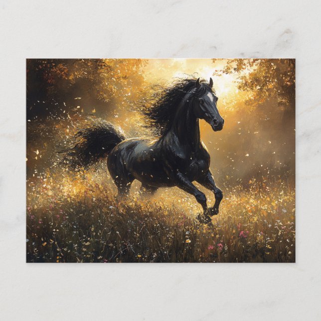 Cartão Postal Wild Horse Black Stallion Mustang (Frente)