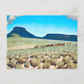 Cartão Postal "Wild Horse Country", por Maynard Dixon