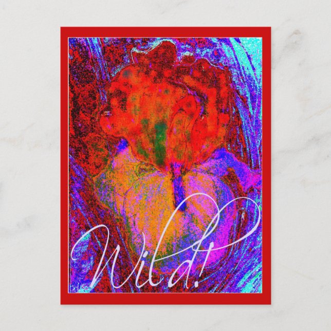 CARTÃO POSTAL WILD IRIS (Frente)